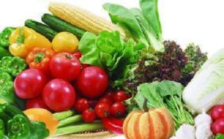 山西科普惠農特色優質農產品展銷會盛大開幕，花卉產業綻放異彩